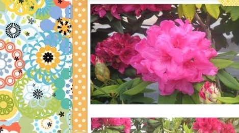 Tendance : le scrapbooking