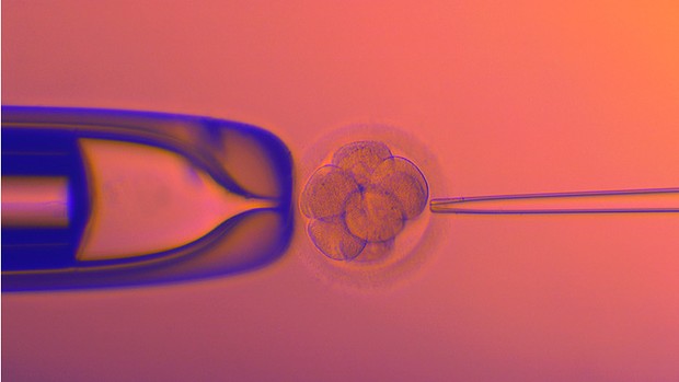 Des jumeaux synchro en fou rire, trop drôle !