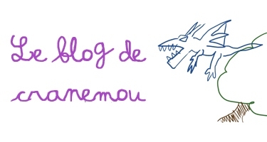 Chronique Blogueuse  VIP (Natacha Crane mou)