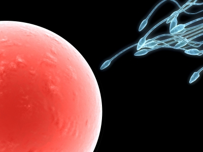 C’est le b. a.-ba de la fertilité !