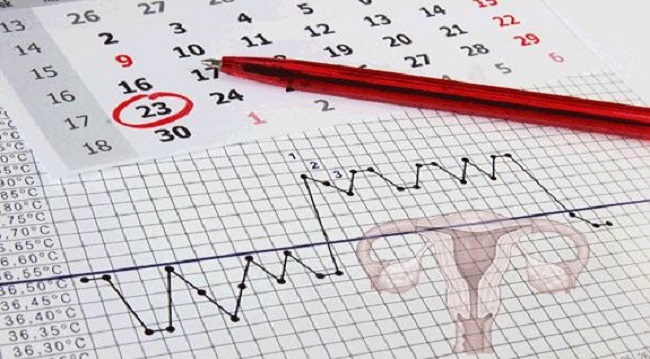 Ovulation, date d’ovulation et fertilité : on fait le point