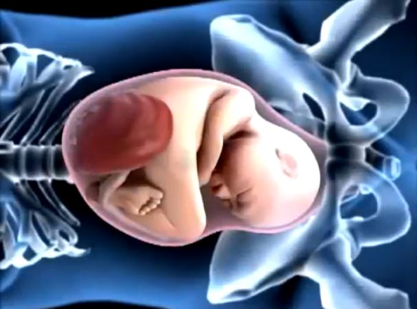 Qu’est-ce qui passe dans notre bidon le jour de l’accouchement ?