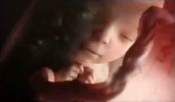 Mais que voit bébé dans votre bidon ?