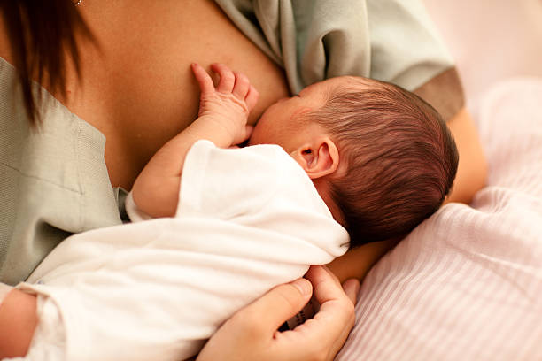 Quels sont les 15 aliments favorisant la lactation ?