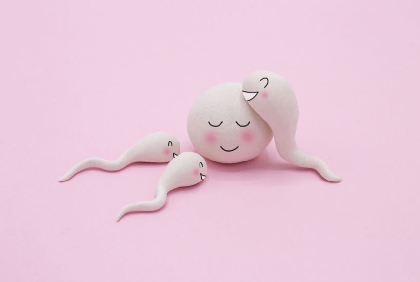 Booster sa fertilité naturellement pour tomber enceinte : comment faire ?