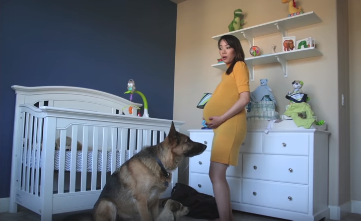 Découvrez cette adorable vidéo qui retrace 9 mois de grossesse en 90 secondes
