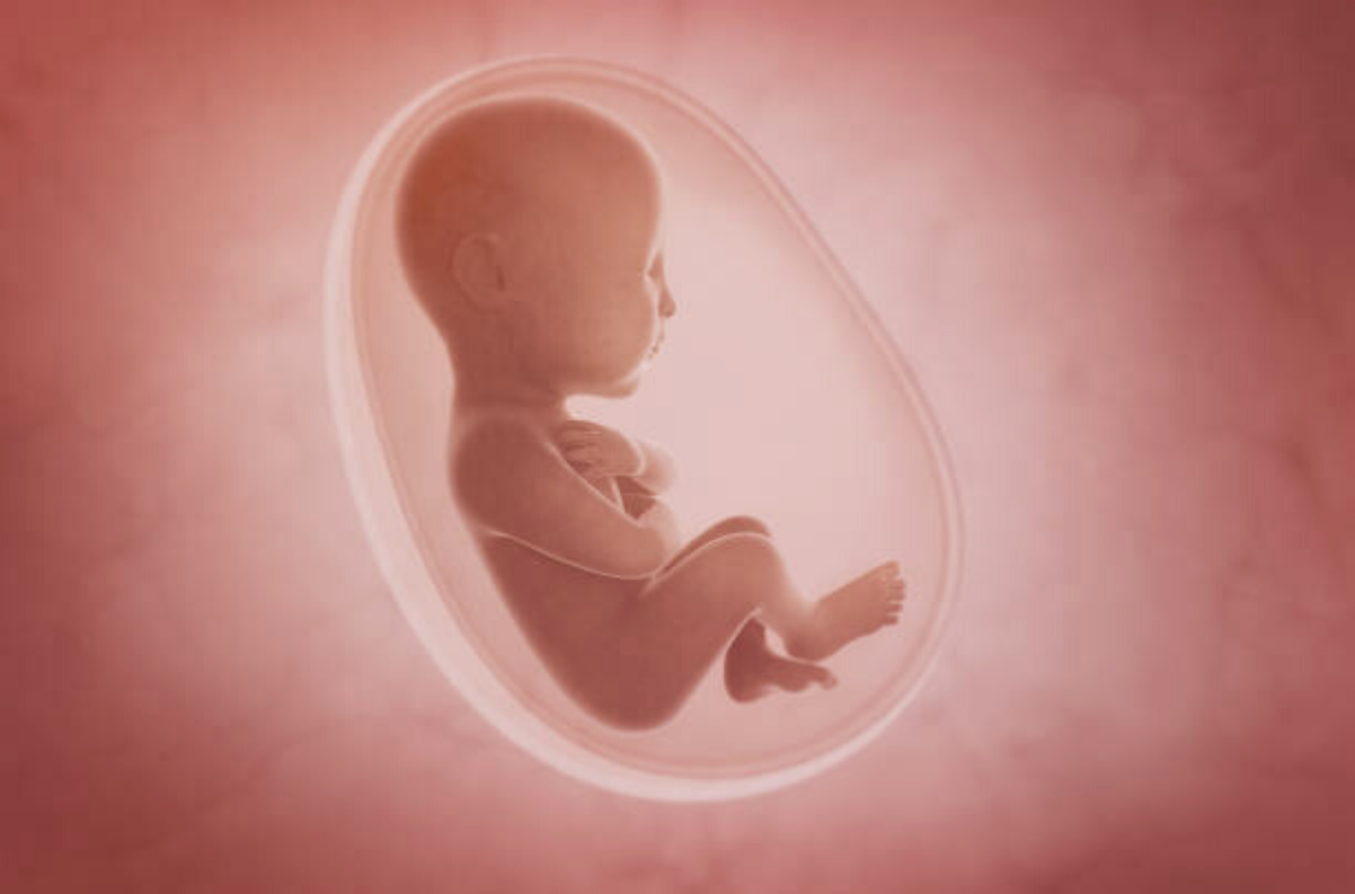 Les 5 sens de bébé déjà actifs in utero : tout ce qu’il faut savoir